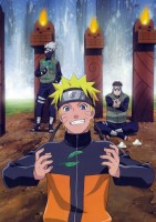 Naruto 101 (Small)